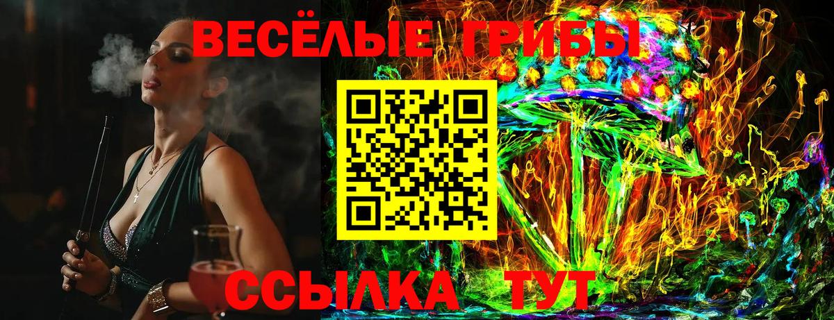 Псилоцибиновые грибы GOLDEN TEACHER  Вход с VPN  Рузаевка 